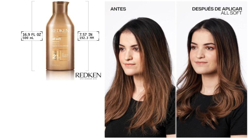 Redken Champú Hidratante con Aceite de Argán